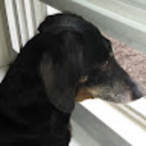 Meet your Posher, Joni